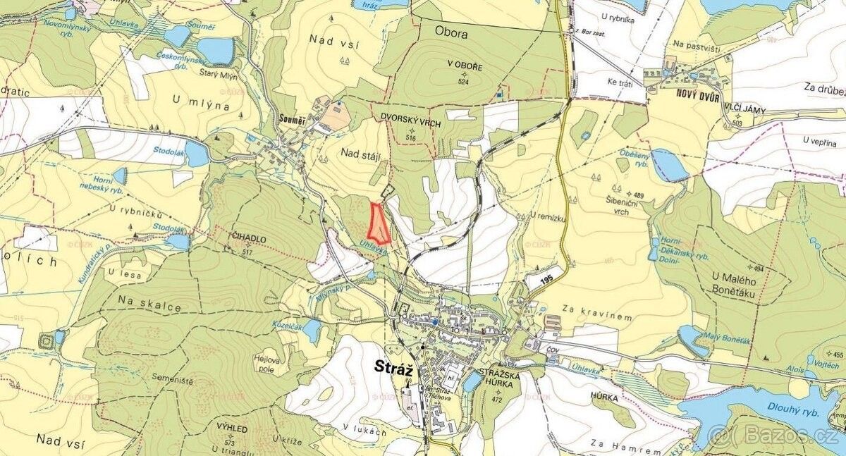 Prodej zemědělský pozemek - Bor u Tachova, 348 02, 21 501 m²