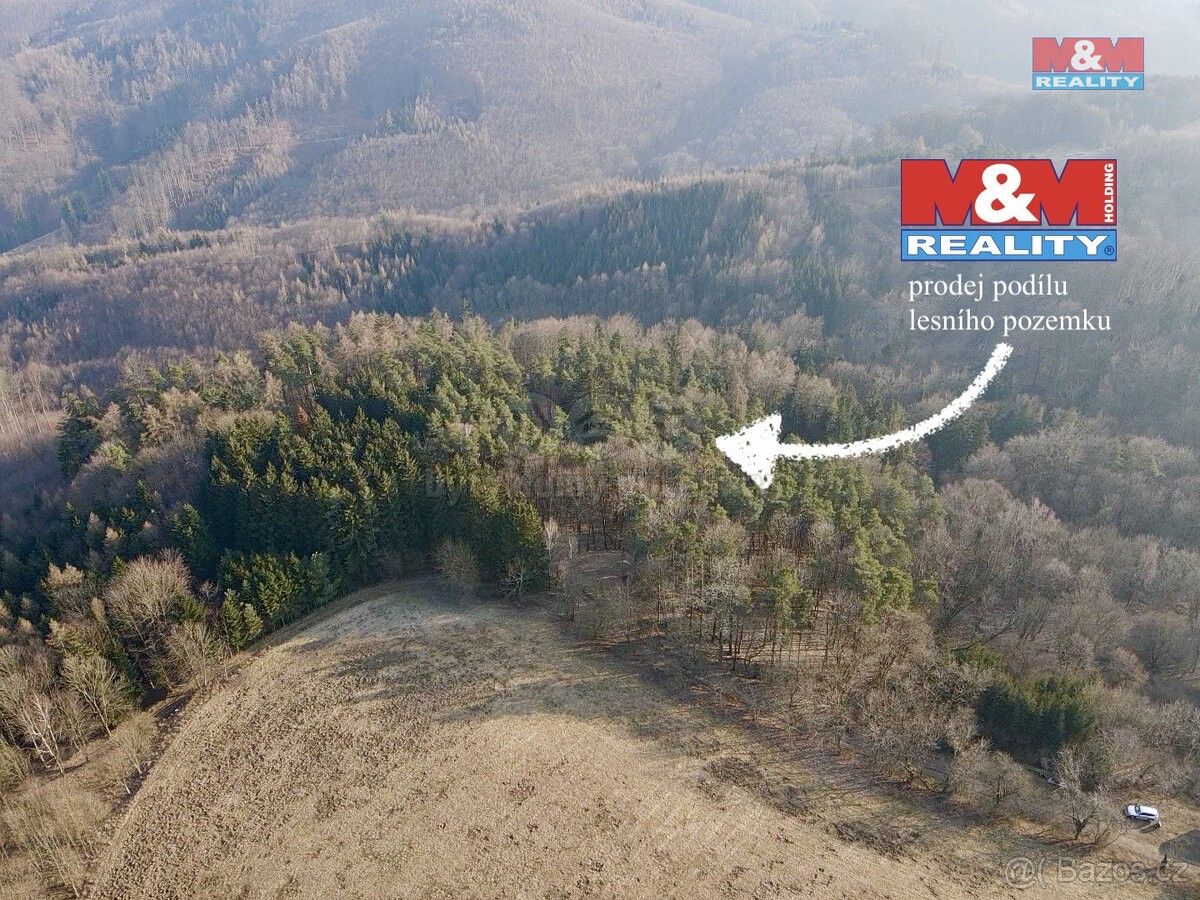 Prodej les - Moravská Třebová, 571 01, 81 768 m²