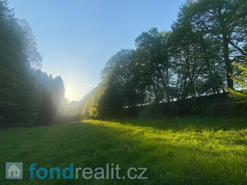 Prodej pozemek - Tachov, 3 829 m²