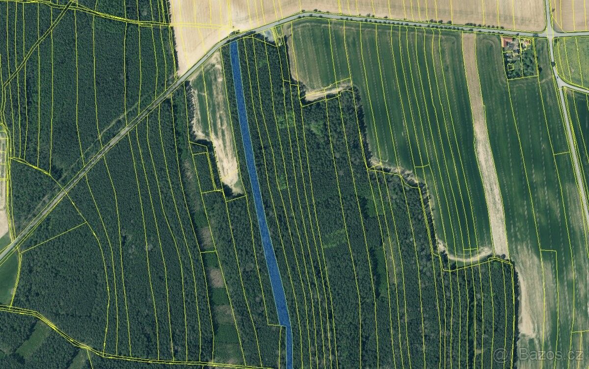 Prodej les - Třemošná, 330 11, 4 324 m²