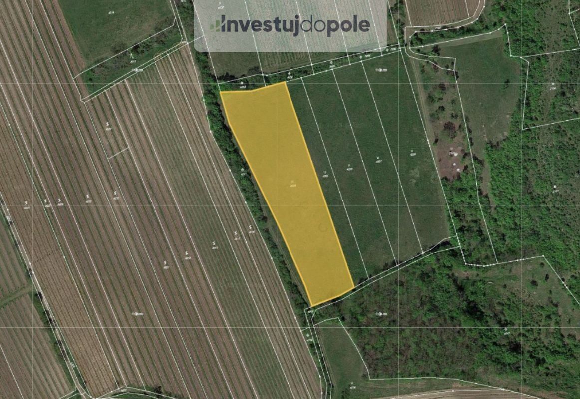 Louky, Horní Věstonice, 8 391 m²