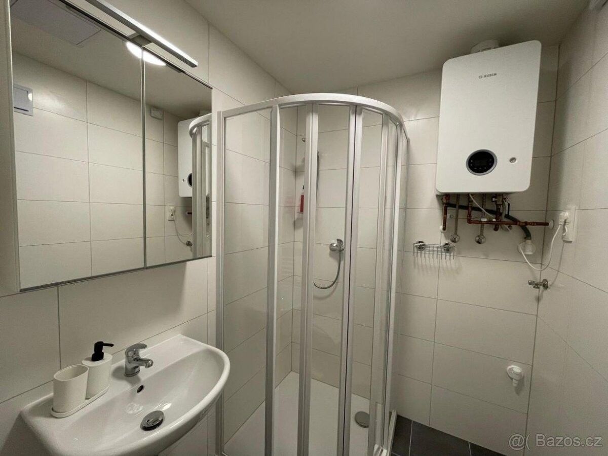 Pronájem byt 1+kk - Praha, 120 00, 30 m²