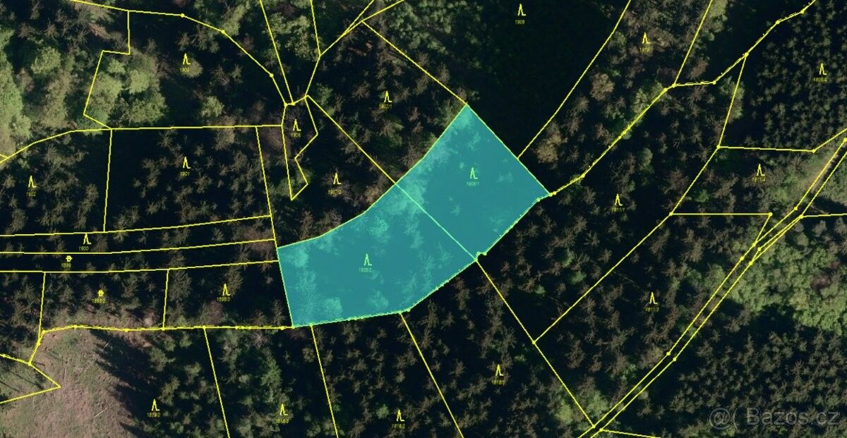 Lesy, Valašská Polanka, 756 11, 1 721 m²