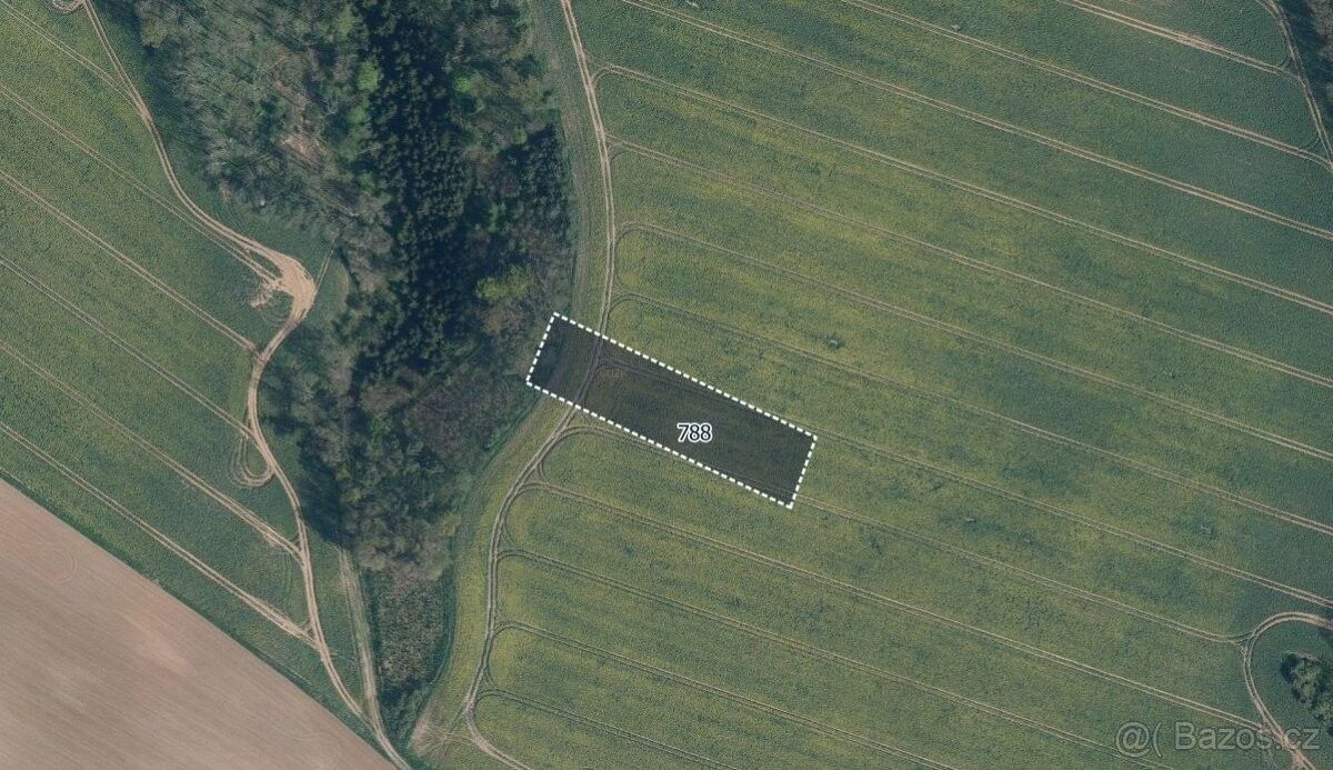 Prodej pozemek - Mělnické Vtelno, 277 38, 3 244 m²