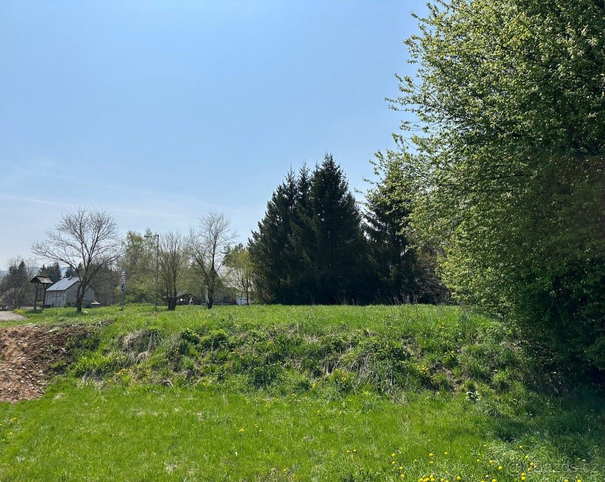 Prodej pozemek pro bydlení - Orlické Záhoří, 517 64, 1 948 m²