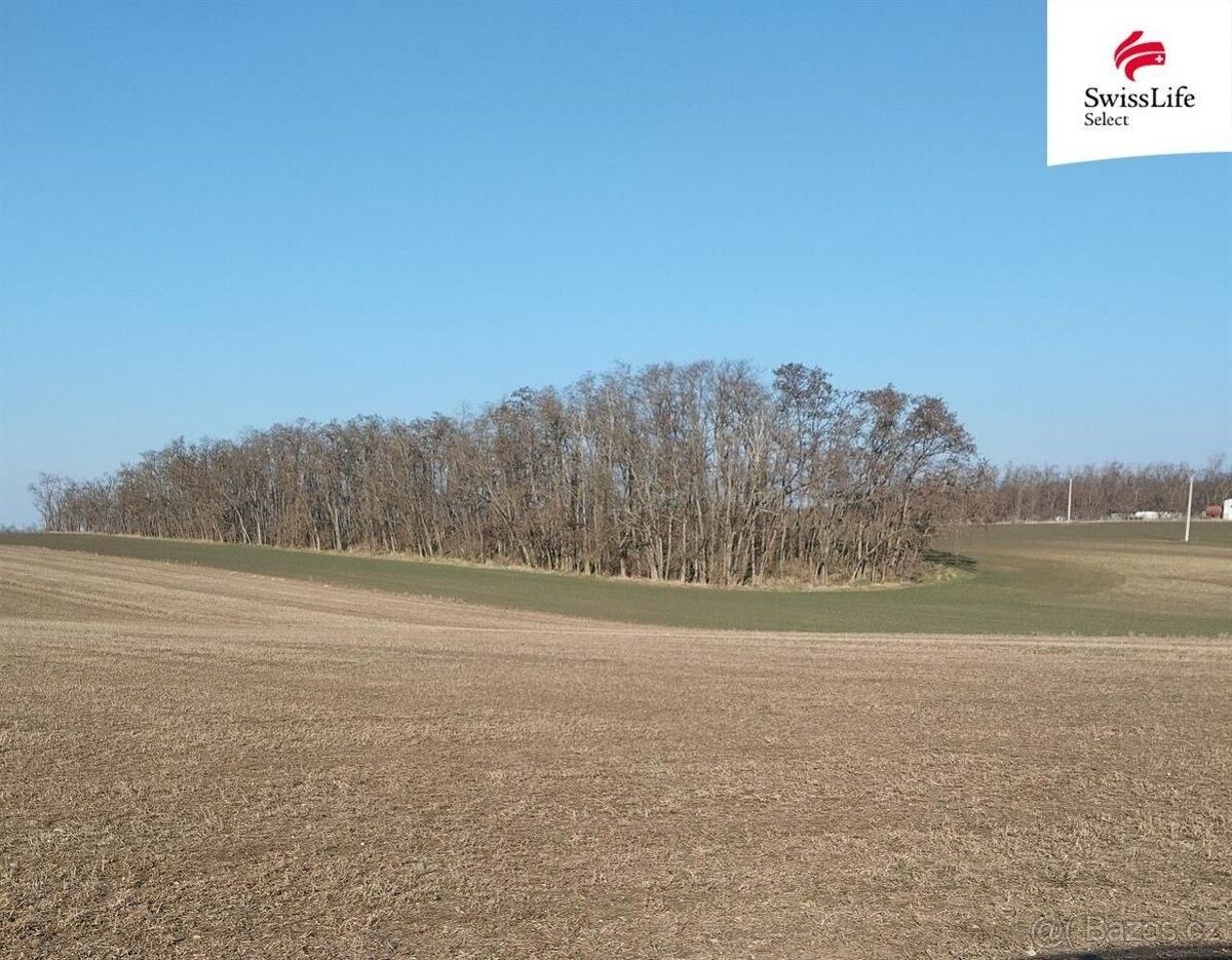 Prodej pozemek pro bydlení - Hrušovany nad Jevišovkou, 671 67, 4 538 m²