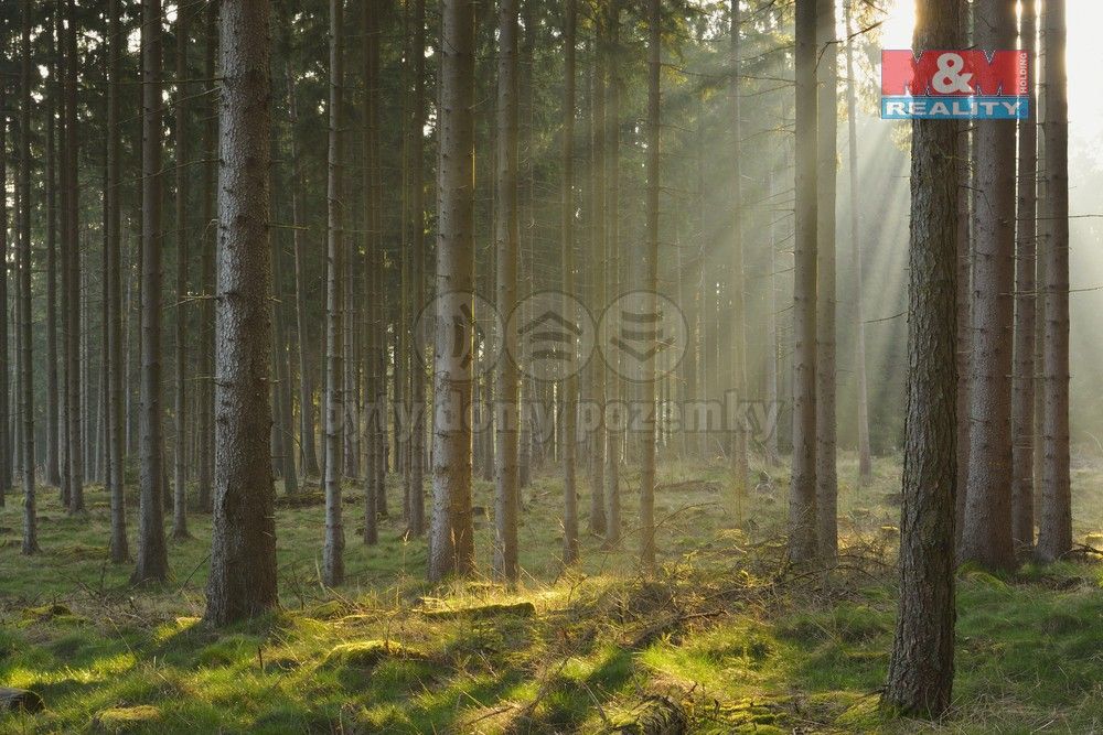Lesy, Kralovice, 331 41, 6 740 m²