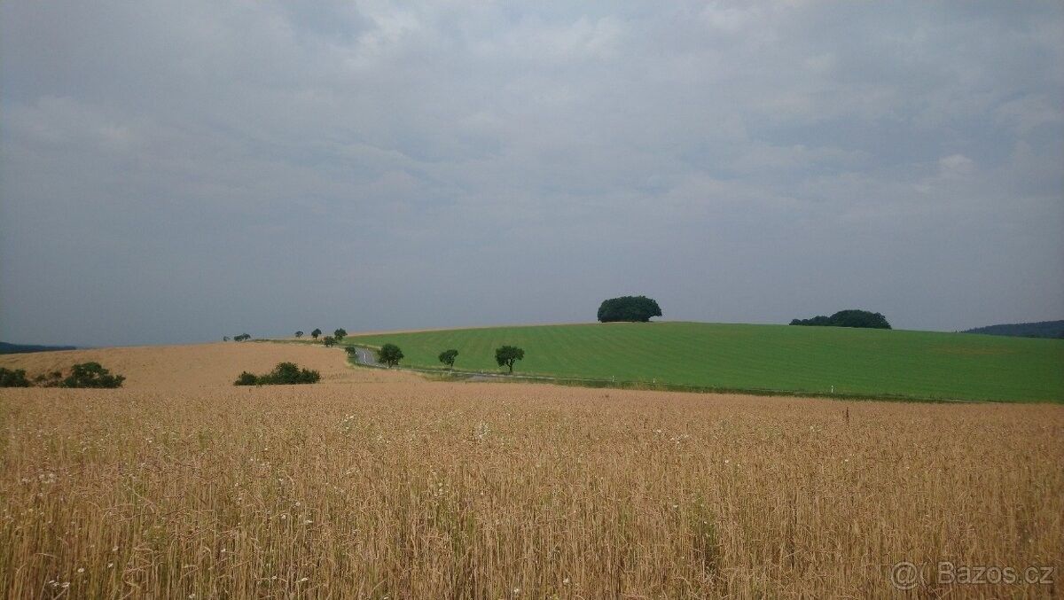 Prodej pozemek - Bojkovice, 687 71, 6 719 m²