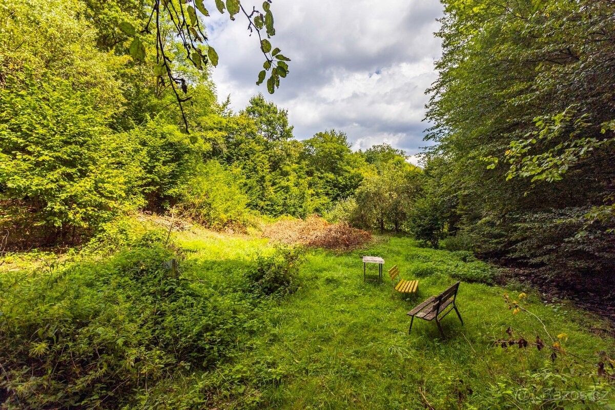 Prodej les - Jílové u Prahy, 254 01, 3 117 m²