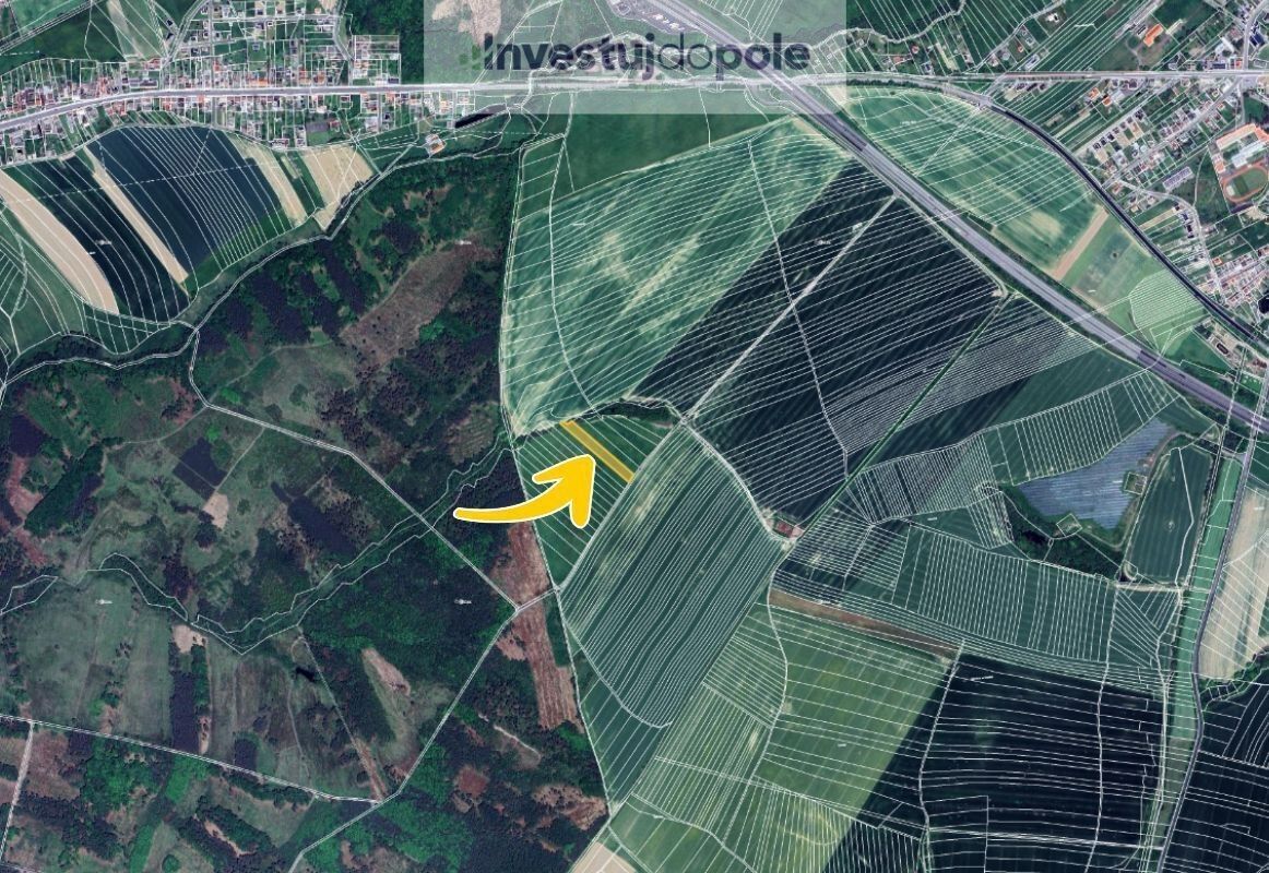 Prodej zemědělský pozemek - Velký Újezd, 3 835 m²