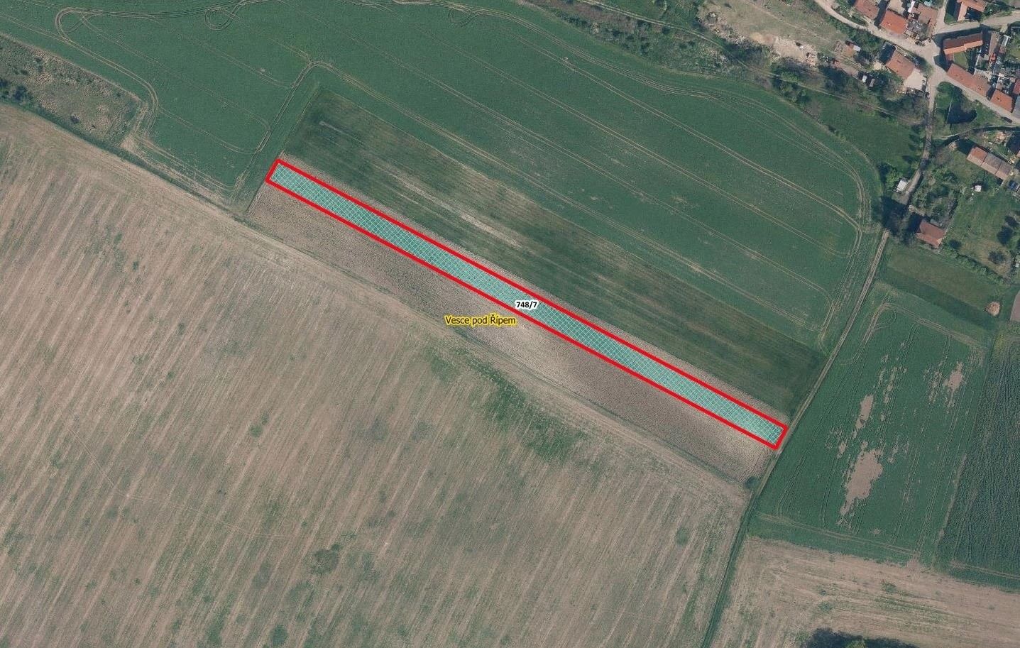 Zemědělské pozemky, Vesce, Krabčice, 5 002 m²