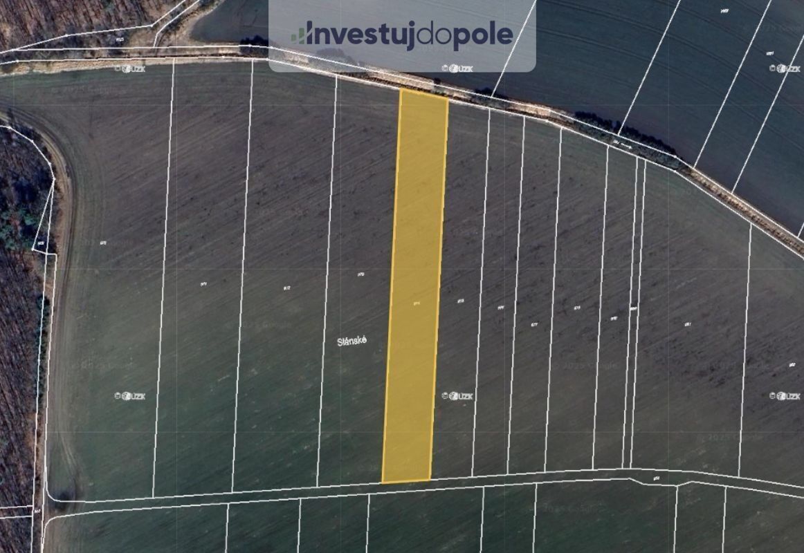 Zemědělské pozemky, Choťovice, 6 966 m²