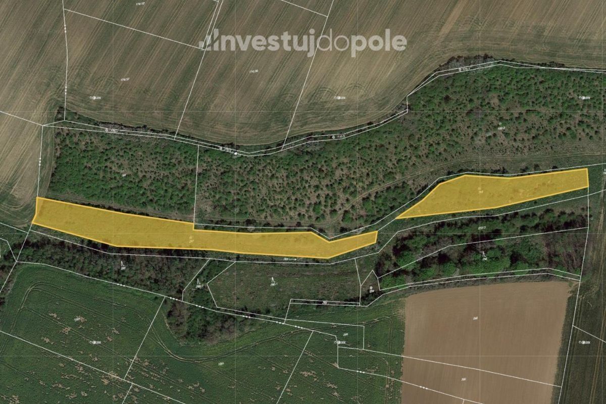 Louky, Horky nad Jizerou, 7 967 m²