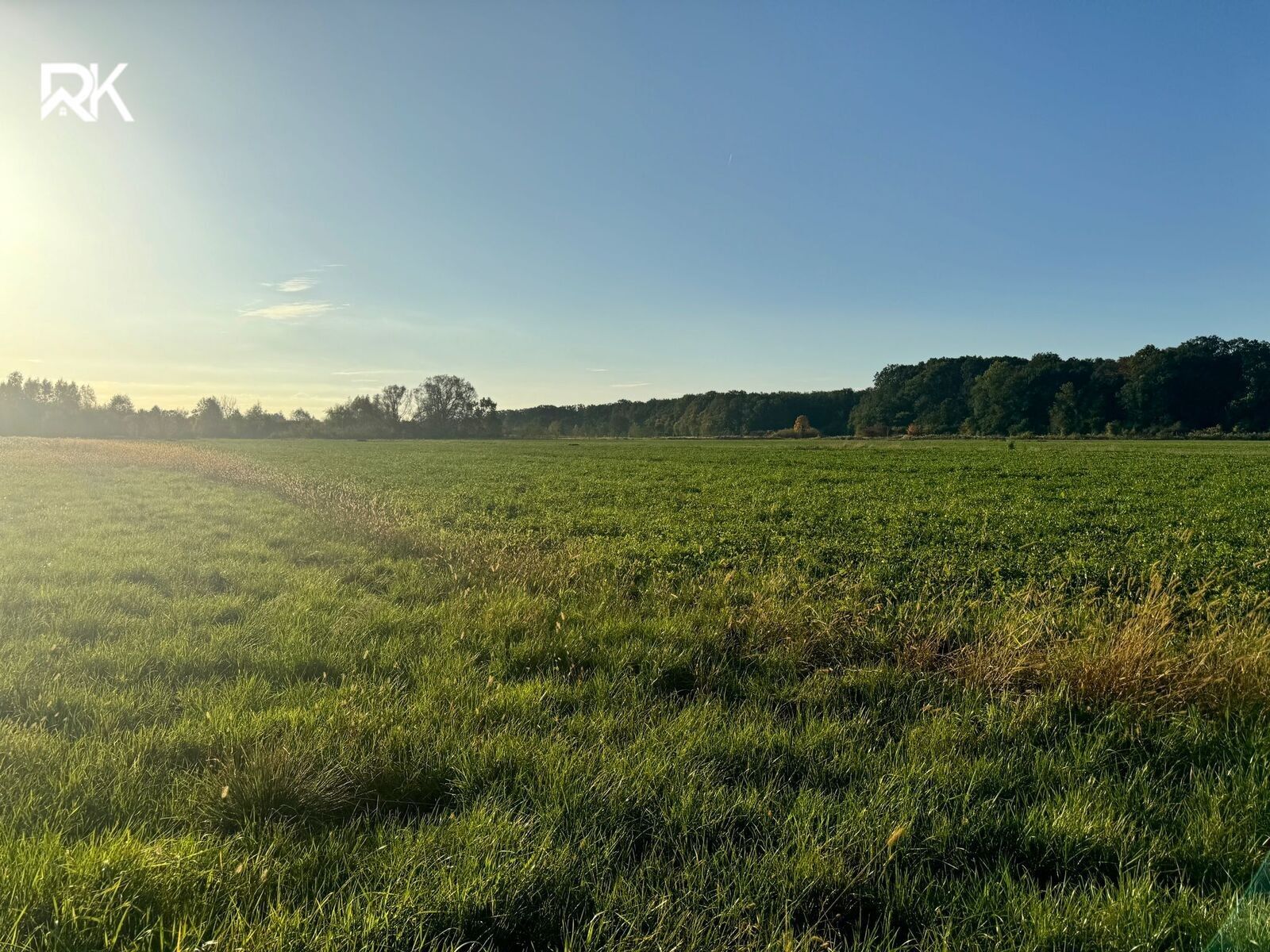 Prodej zemědělský pozemek - Poděbrady, 5 438 m²