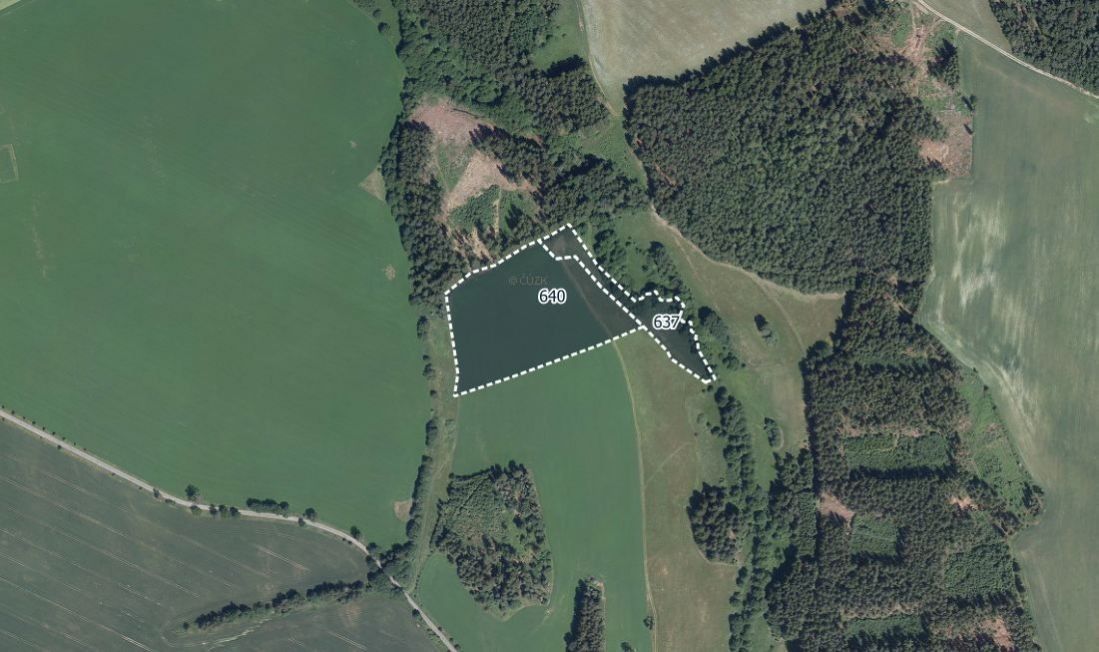 Zemědělské pozemky, Hlinsko v Čechách, 539 62, 24 022 m²