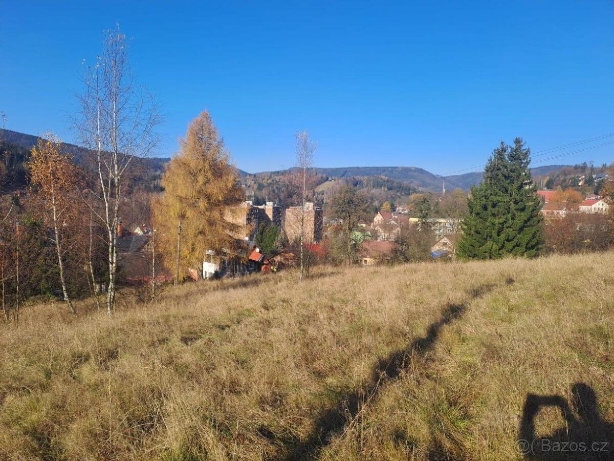 Ostatní, Tanvald, 468 41, 1 290 m²