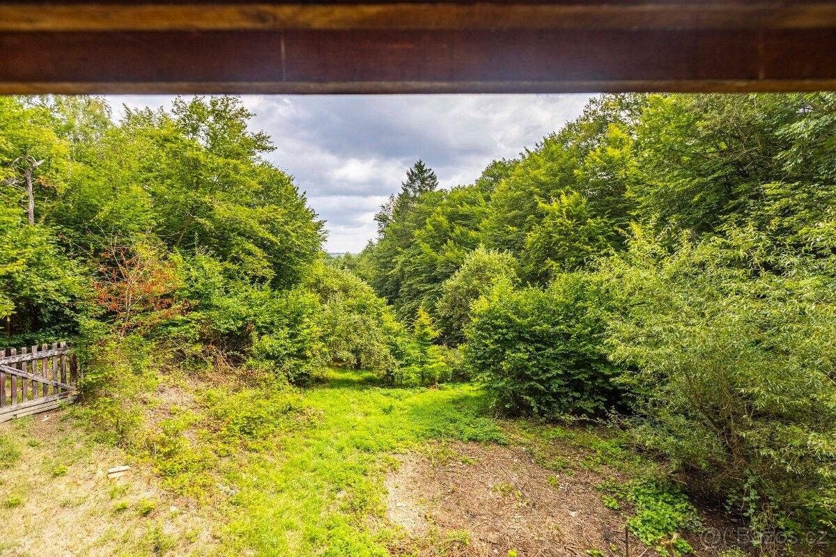Lesy, Jílové u Prahy, 254 01, 3 117 m²
