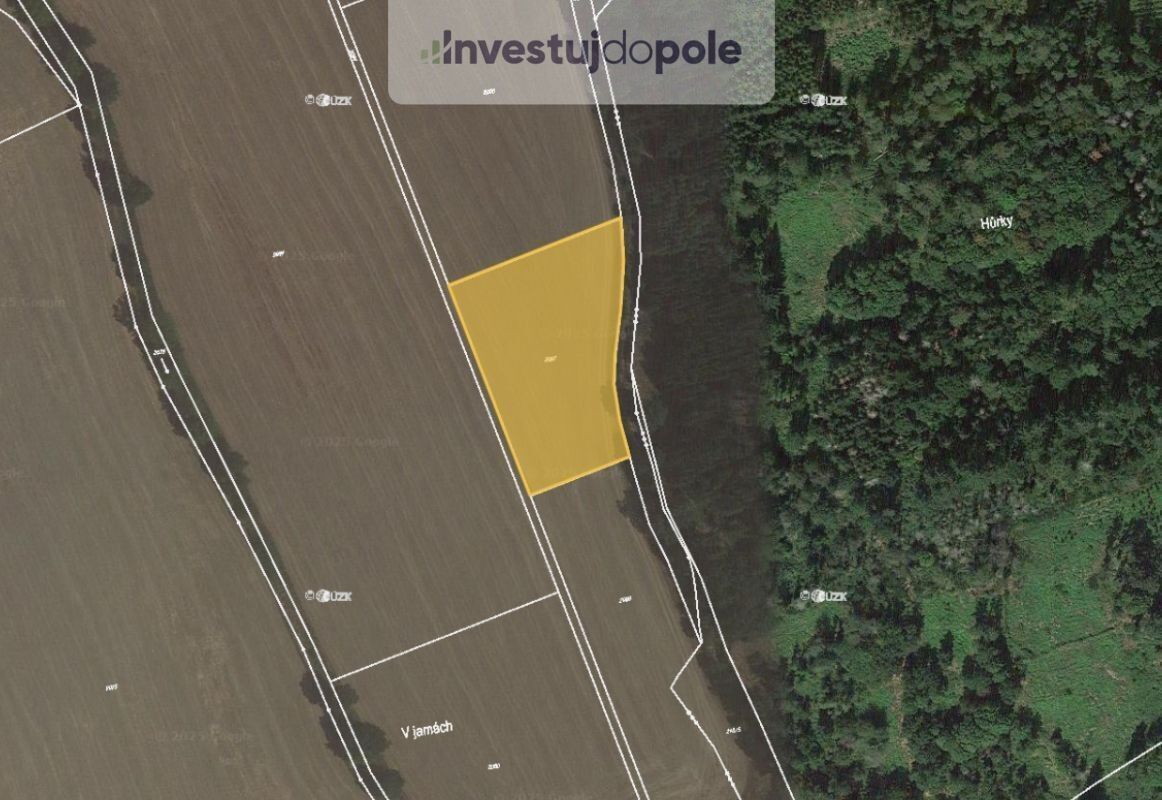 Zemědělské pozemky, Černíkov, 5 105 m²