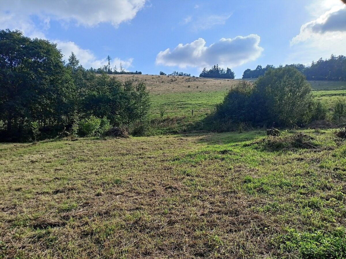 Pozemky pro bydlení, Město Albrechtice, 793 95, 4 160 m²