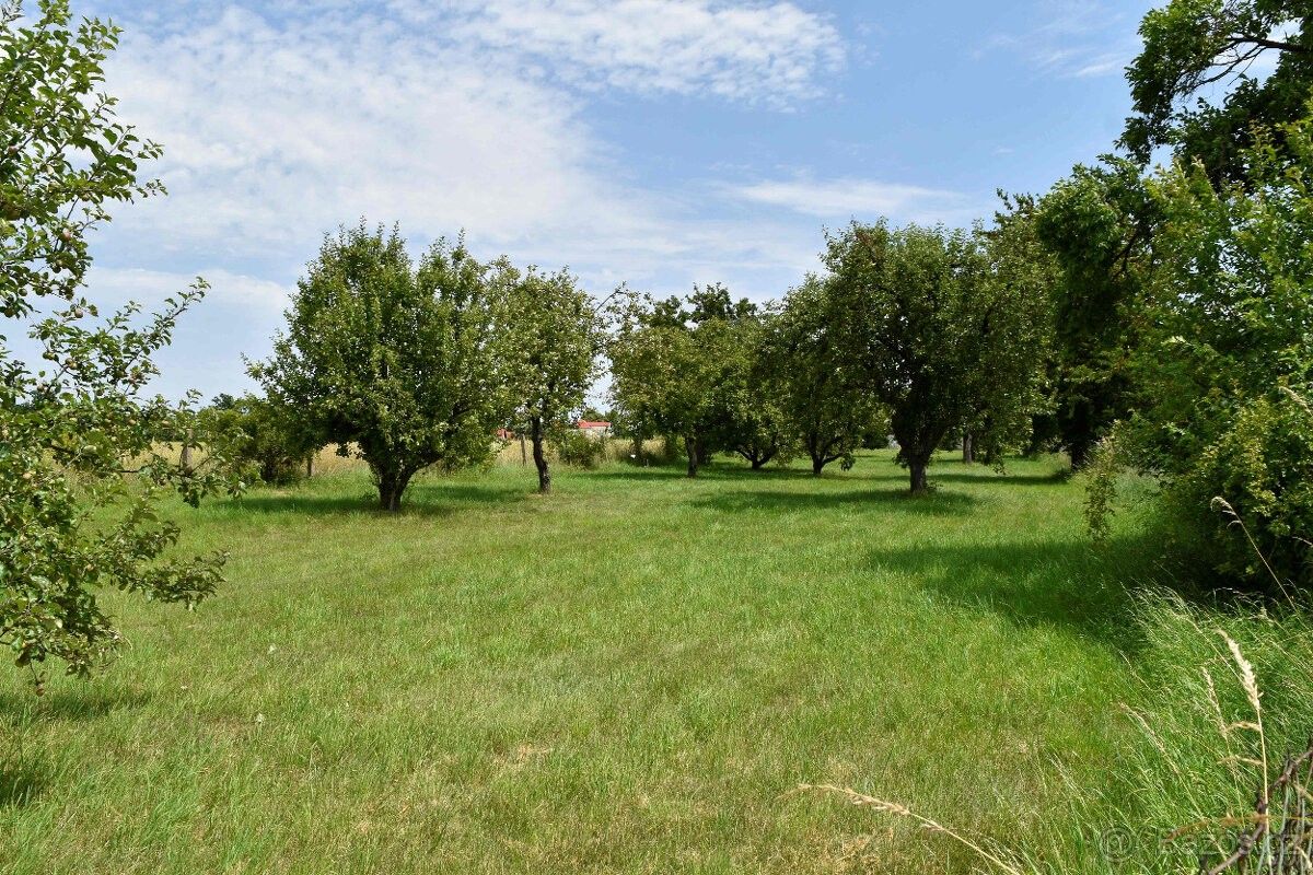 Zahrady, Rychnovek, 552 25, 5 122 m²