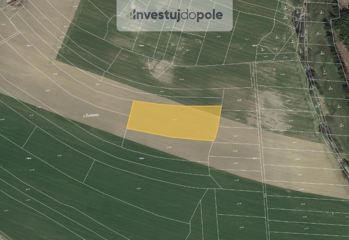 Zemědělské pozemky, Žďárná, 2 924 m²