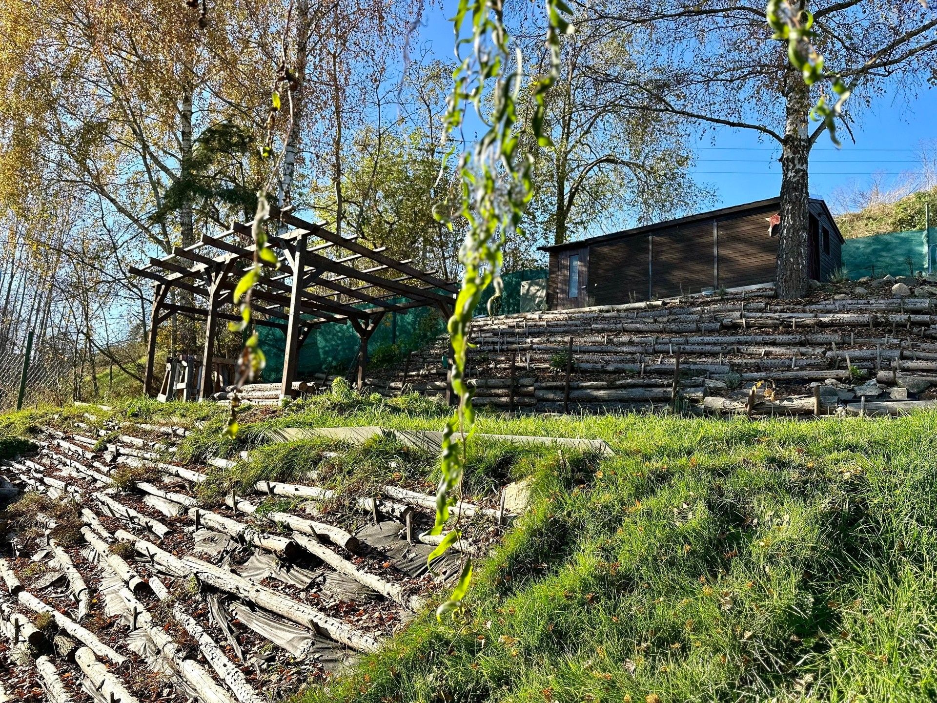 Zahrady, Příčná, Tachov, 365 m²
