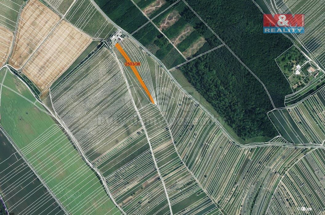 Prodej pozemek - Dolní Bojanovice, 696 17, 2 497 m²