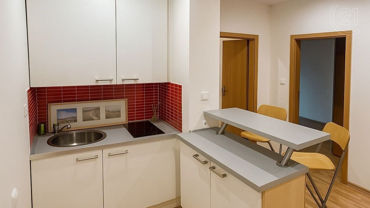 1+kk, U gymnázia, Praha, 28 m²
