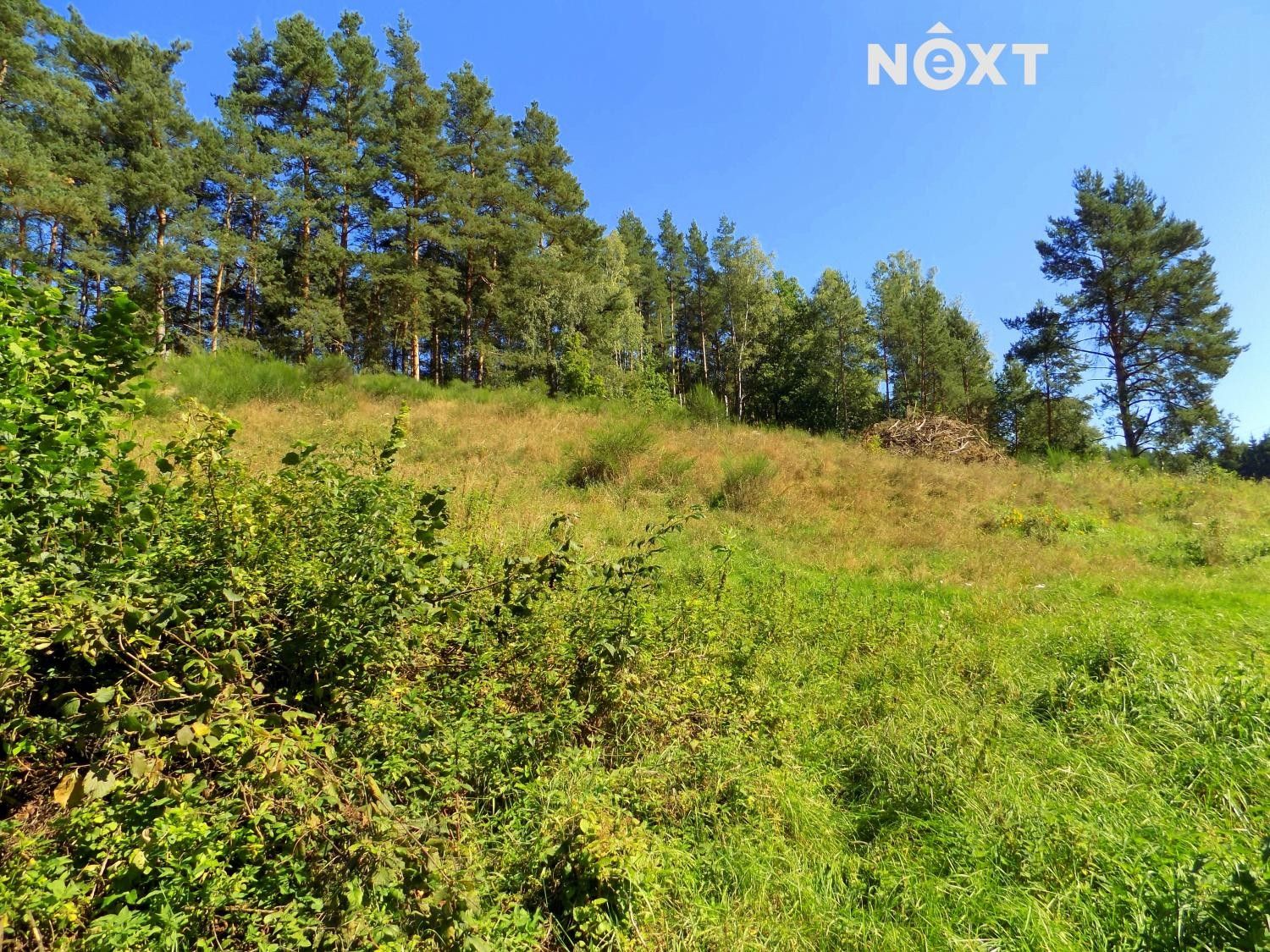Prodej pozemek pro bydlení - Janovice v Podještědí, 4 578 m²