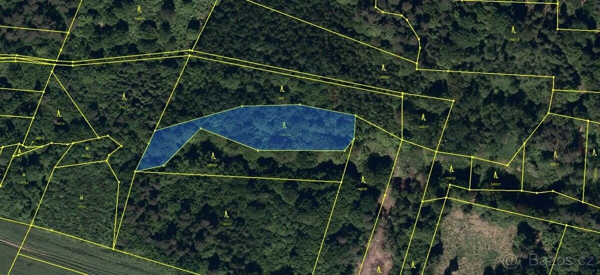 Prodej les - Velká Polom, 747 64, 3 342 m²