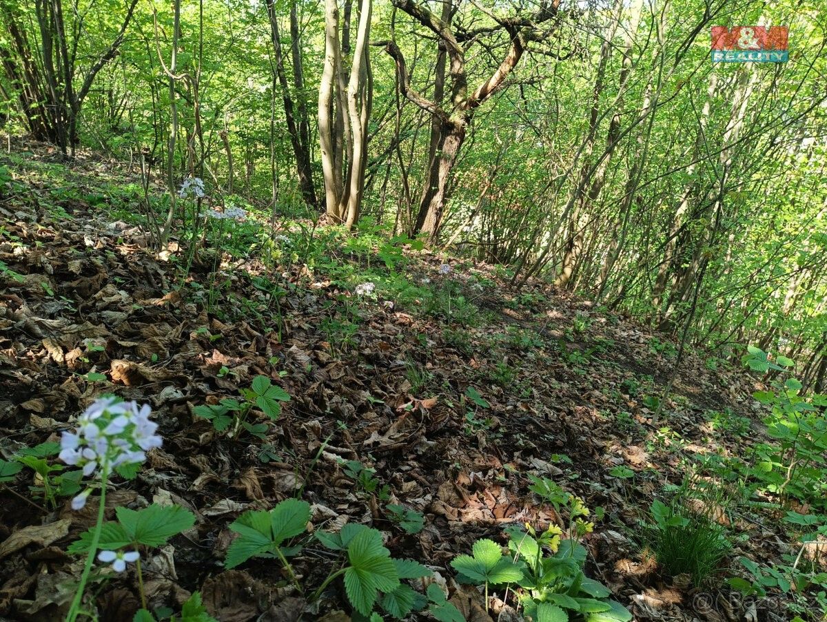 Prodej pozemek - Rychnov nad Kněžnou, 516 01, 2 141 m²
