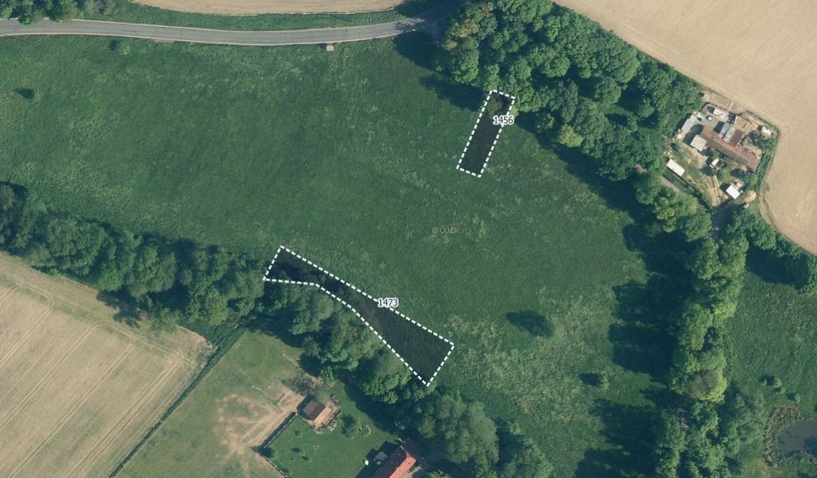 Prodej zemědělský pozemek - Žinkovy, 335 54, 9 805 m²