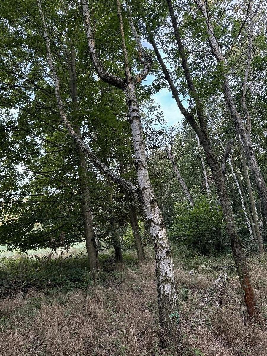 Ostatní, Úštěk, 411 45, 3 206 m²