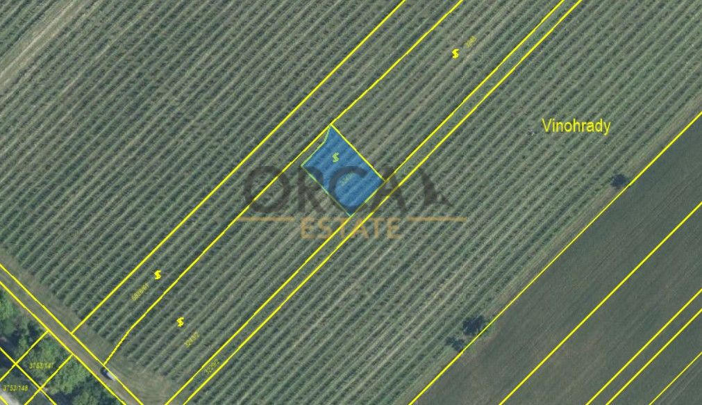 Zemědělské pozemky, Hustopeče u Brna, 693 01, 6 595 m²