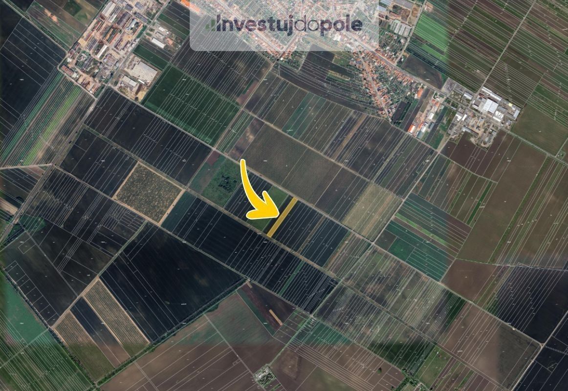 Prodej zemědělský pozemek - Velké Bílovice, 10 727 m²