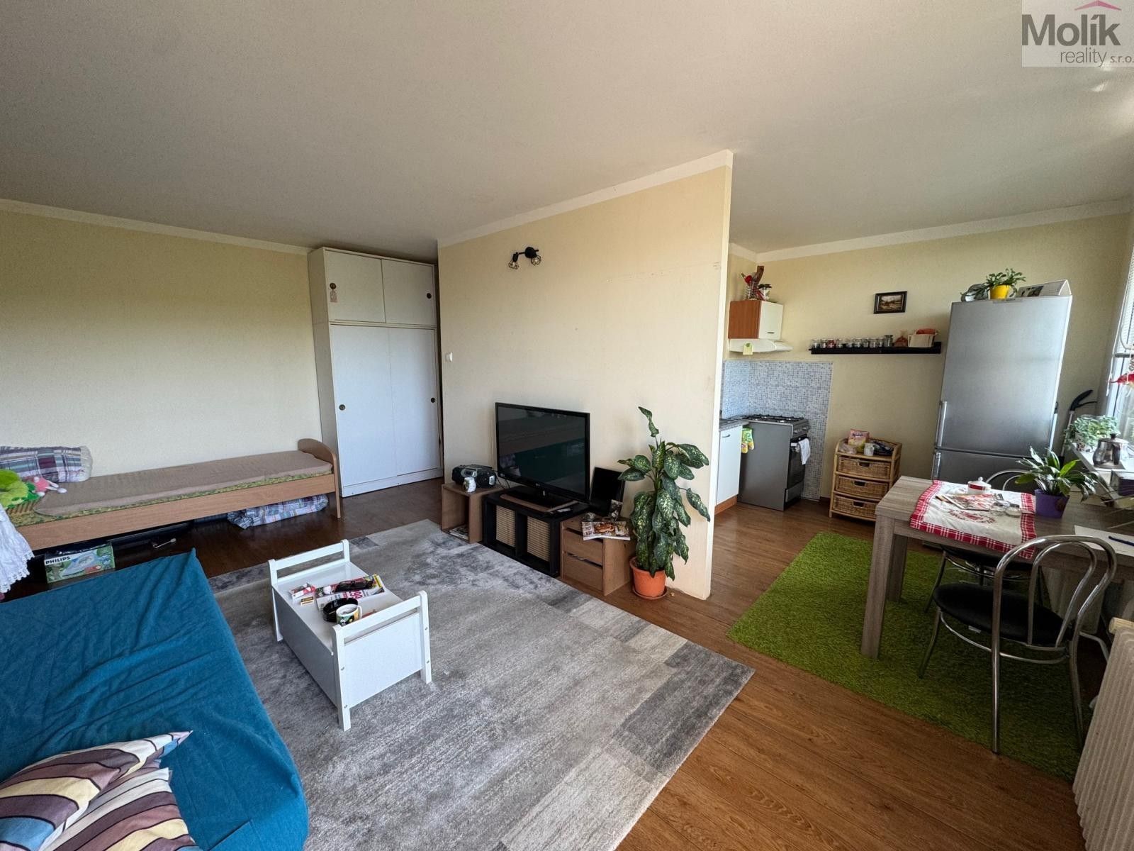 Pronájem byt 1+1 - Moskevská, Most, 33 m²