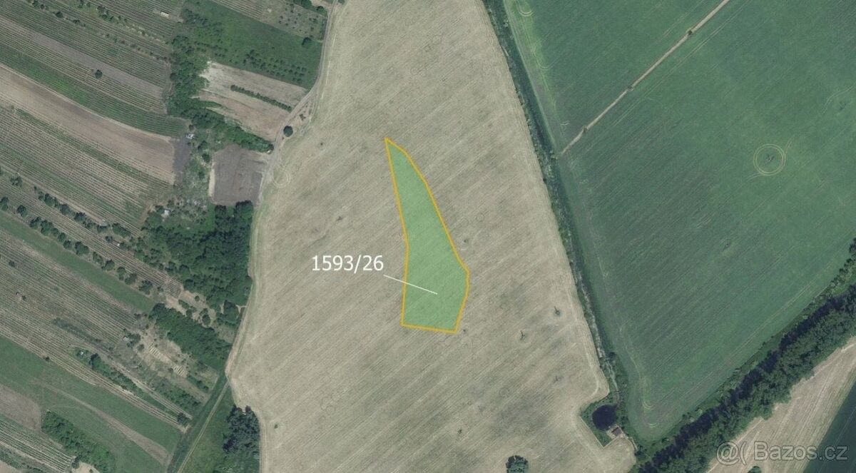 Prodej zemědělský pozemek - Týnec u Břeclavě, 691 54