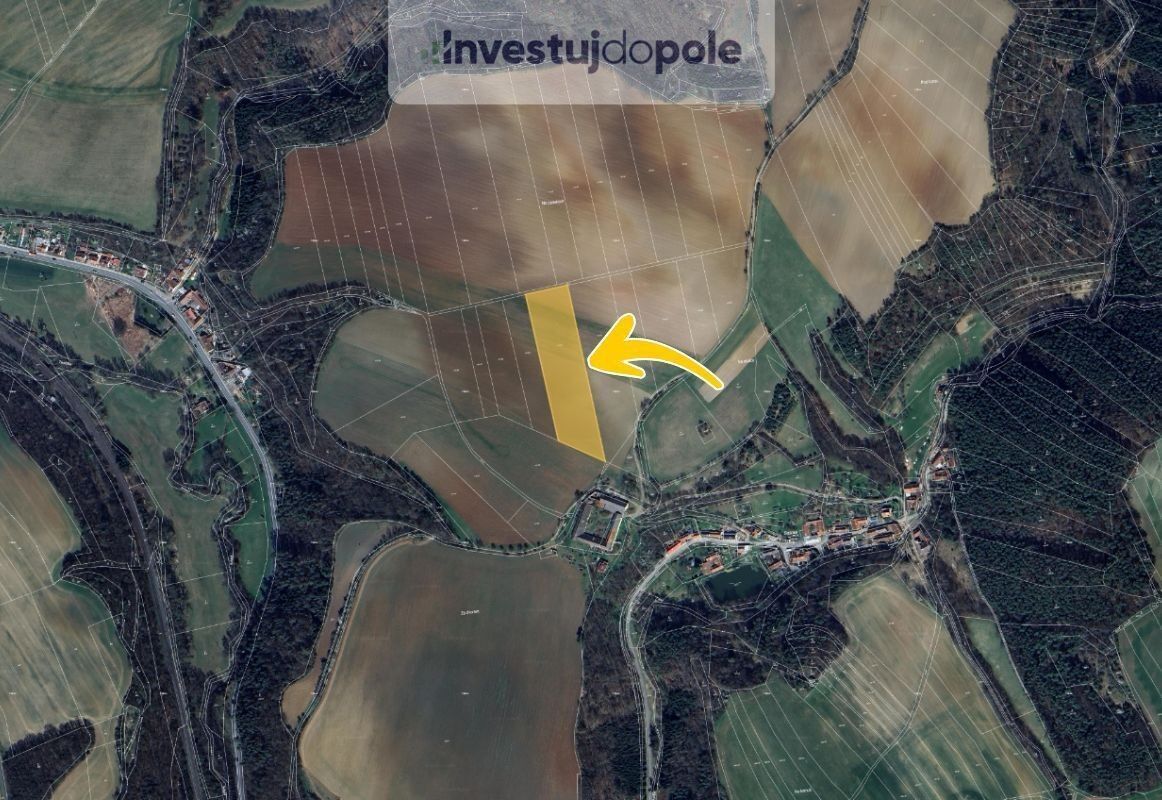 Prodej zemědělský pozemek - Slatinka, Letovice, 12 248 m²
