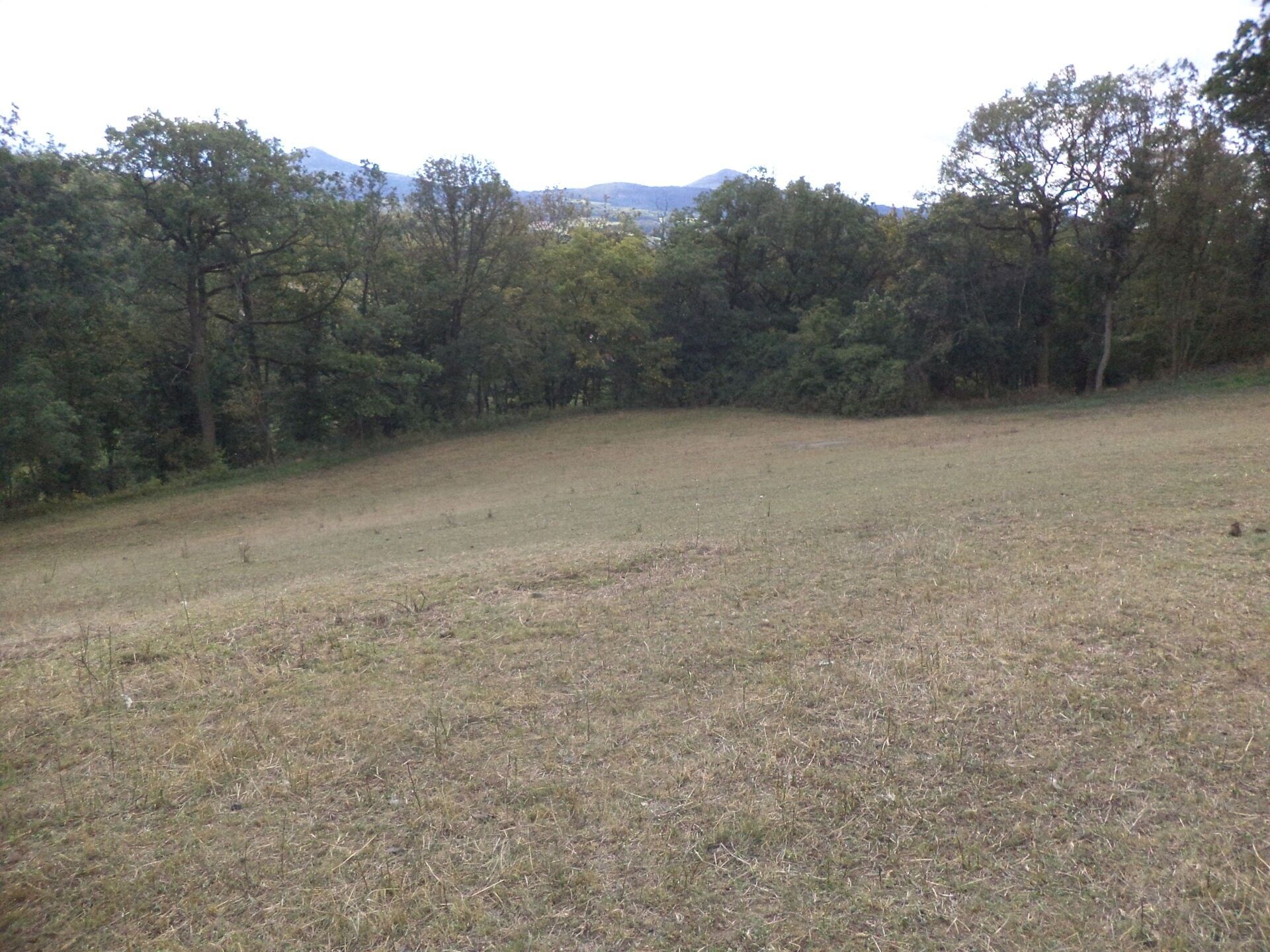 Zemědělské pozemky, Stadice, Řehlovice, 10 011 m²