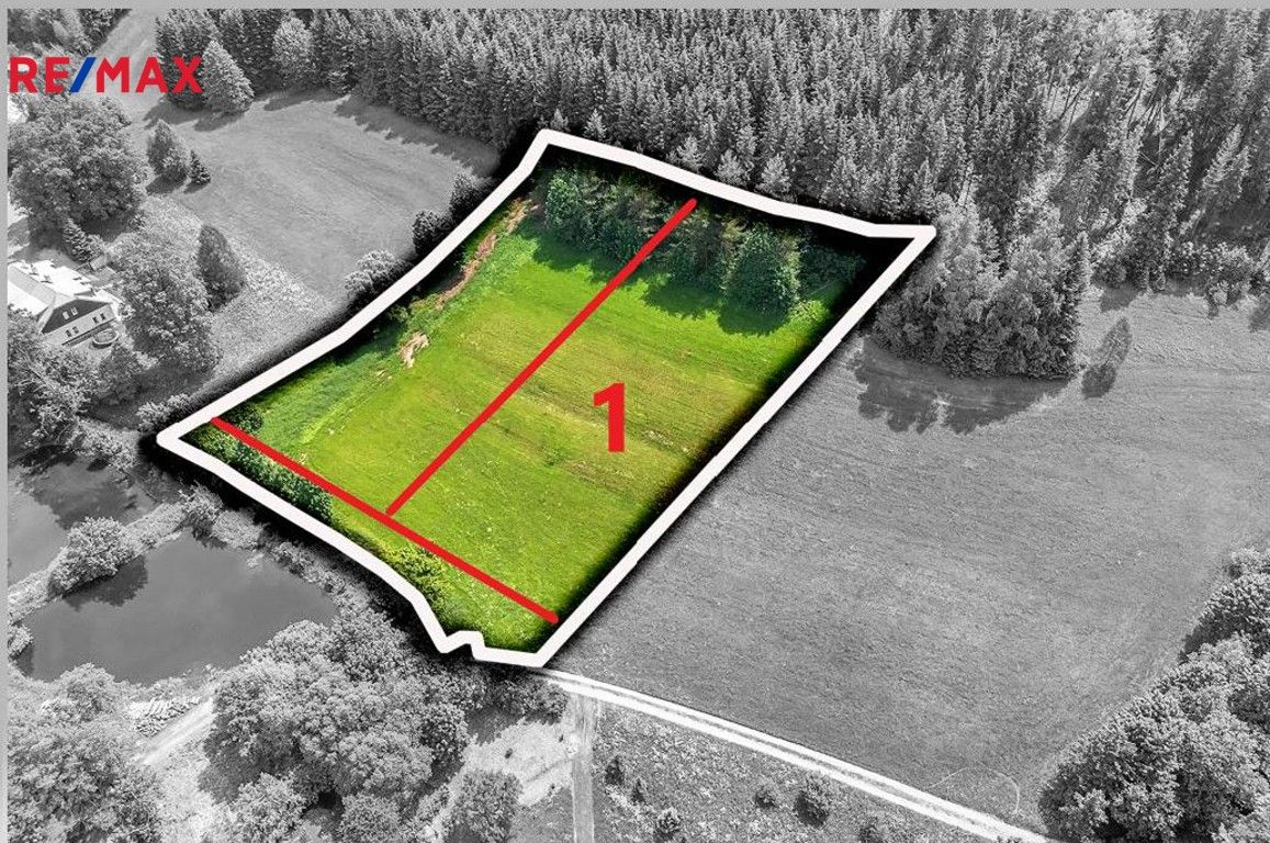 Pozemky pro bydlení, Červená Voda, 3 672 m²