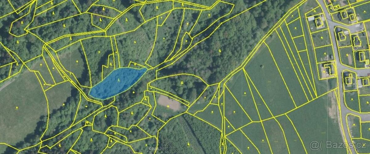 Lesy, Valašská Polanka, 756 11, 2 906 m²