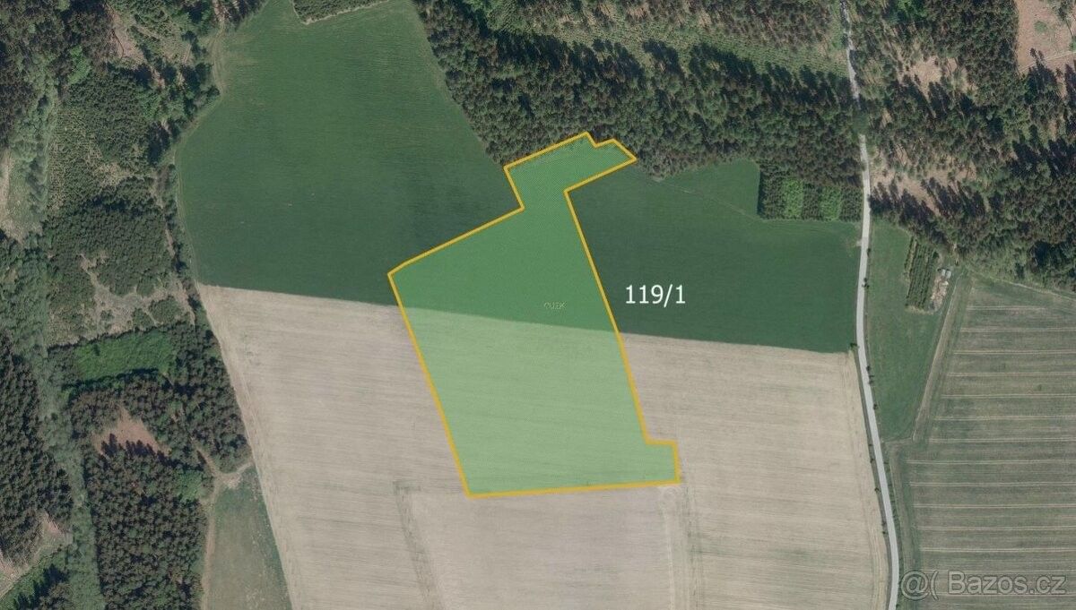 Zemědělské pozemky, Ledeč nad Sázavou, 584 01, 36 594 m²
