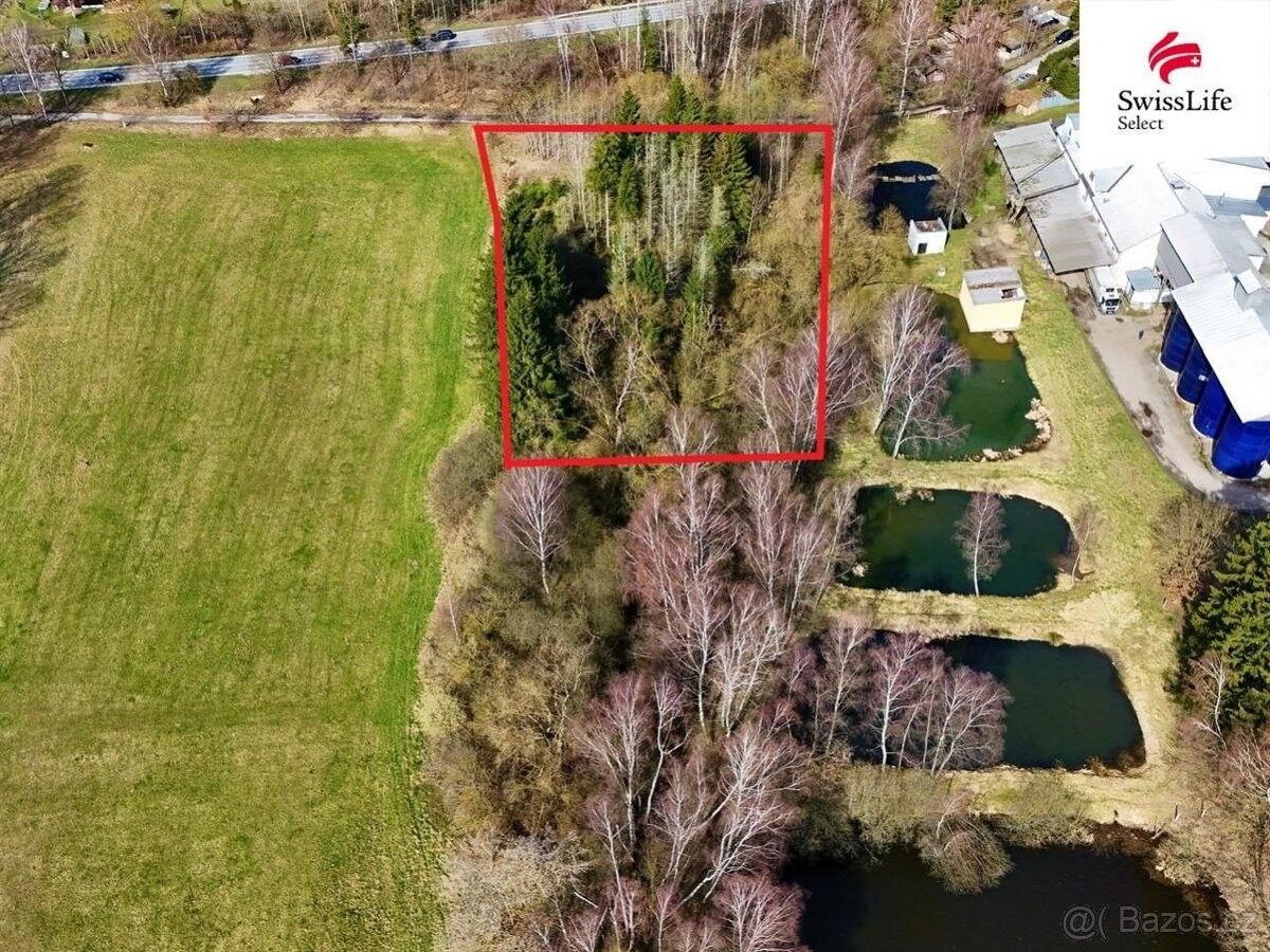 Lesy, Jindřichův Hradec, 377 01, 4 442 m²