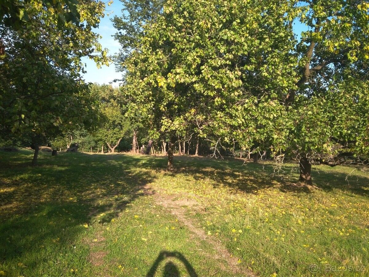 Lesy, Dolní Kounice, 664 64, 12 899 m²