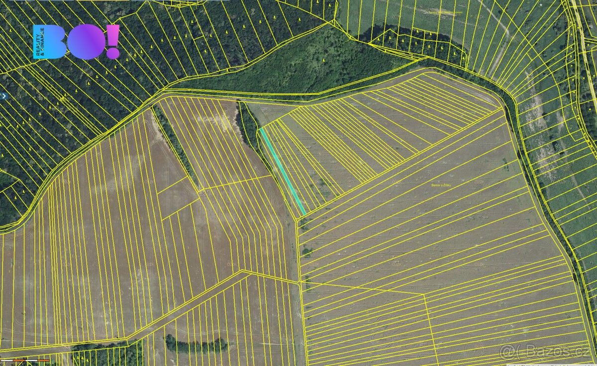 Prodej zemědělský pozemek - Diváky, 691 71, 7 249 m²