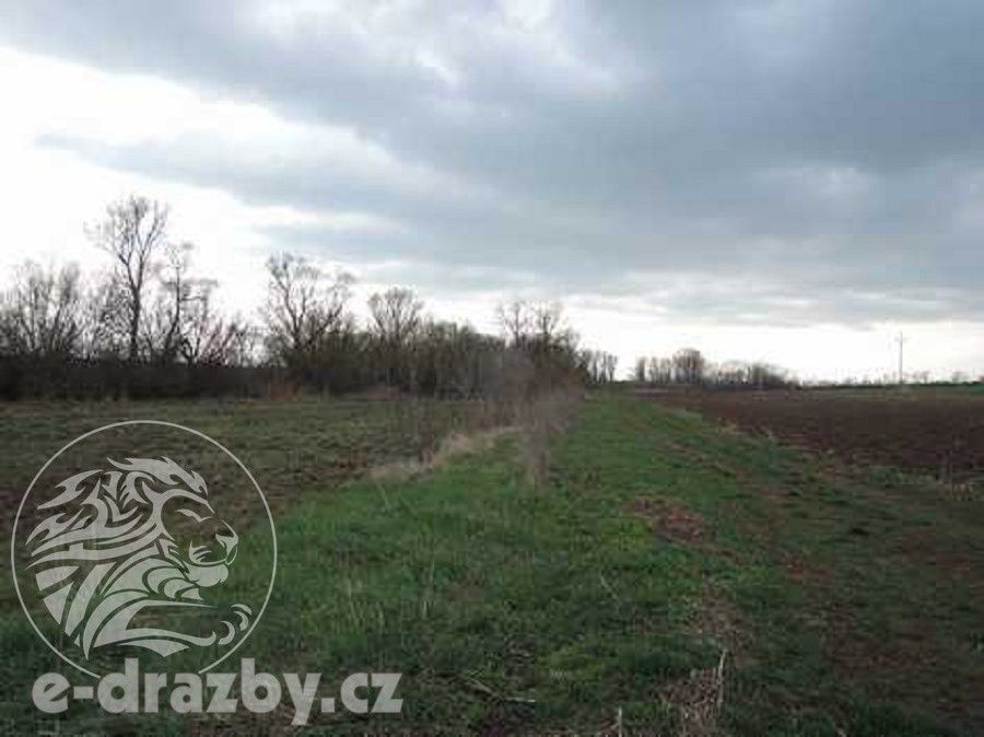 Prodej zemědělský pozemek - Troskotovice, 9 776 m²