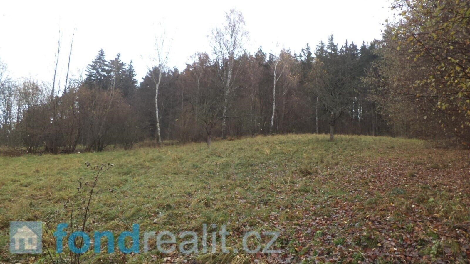 Zemědělské pozemky, Branišov, Zdíkov, 20 225 m²