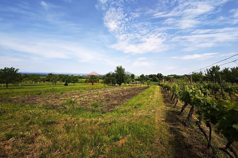Prodej zahrada - Strážnice, 696 62, 2 707 m²