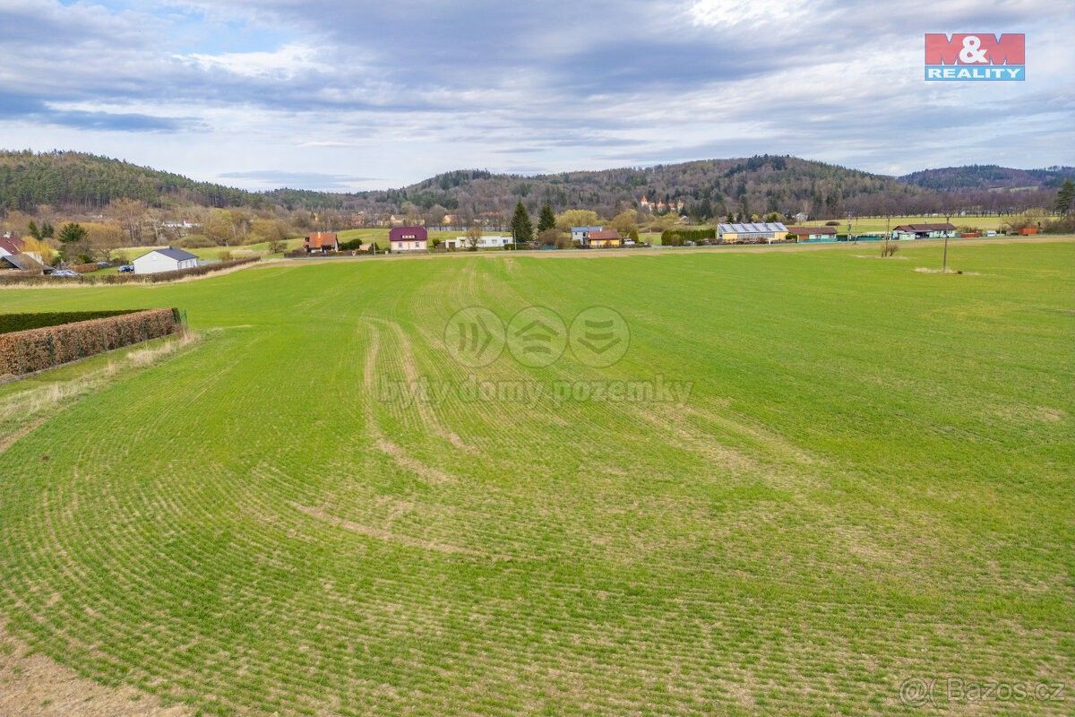Prodej zemědělský pozemek - Žinkovy, 335 54, 9 856 m²