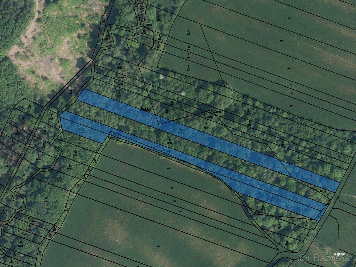 Lesy, Bohuslavice u Zlína, 763 51, 11 699 m²